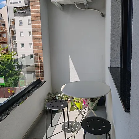 Enjoy * נובי סאד