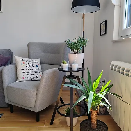 Enjoy נובי סאד